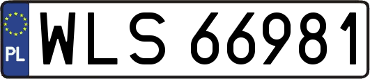 WLS66981