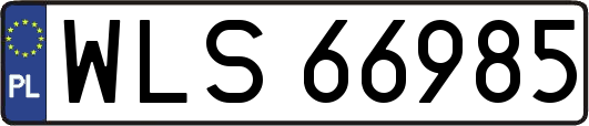 WLS66985