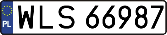 WLS66987