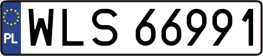 WLS66991