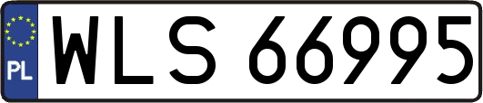 WLS66995
