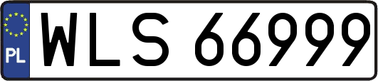 WLS66999