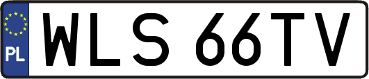 WLS66TV