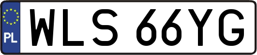 WLS66YG