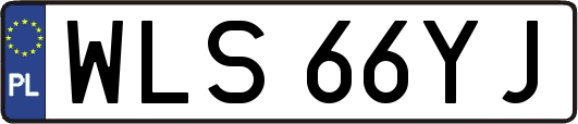 WLS66YJ