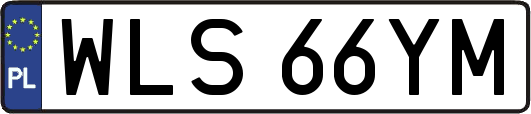 WLS66YM