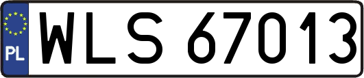 WLS67013