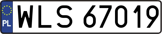 WLS67019