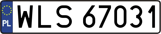 WLS67031