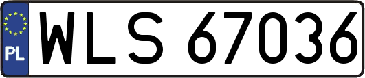 WLS67036