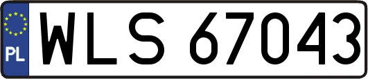 WLS67043