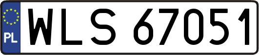 WLS67051