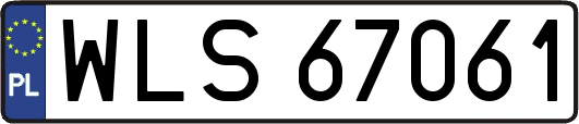 WLS67061