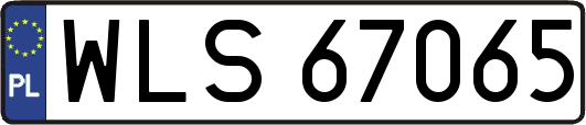 WLS67065