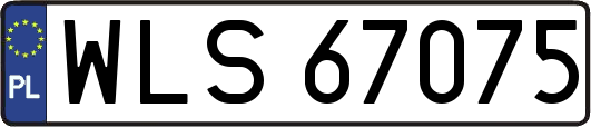 WLS67075