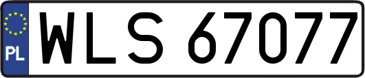 WLS67077