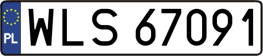 WLS67091