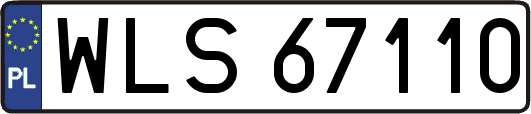 WLS67110