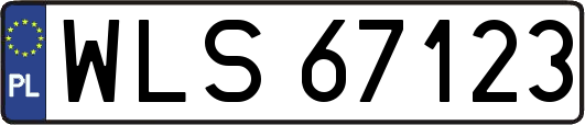 WLS67123