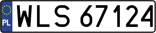 WLS67124