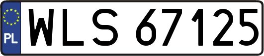 WLS67125