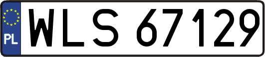 WLS67129