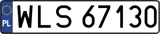 WLS67130