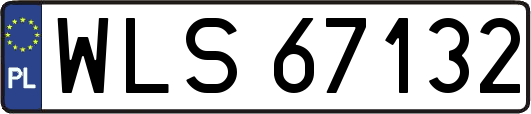 WLS67132
