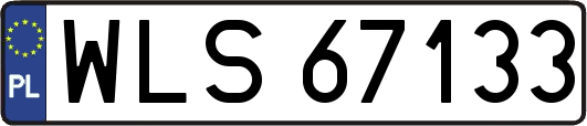 WLS67133