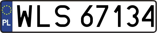 WLS67134