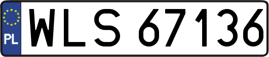 WLS67136