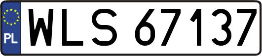 WLS67137