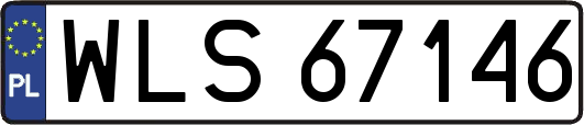WLS67146