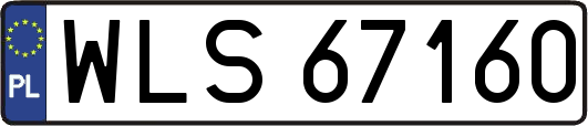 WLS67160