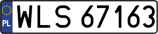 WLS67163