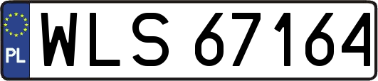 WLS67164