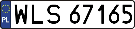 WLS67165