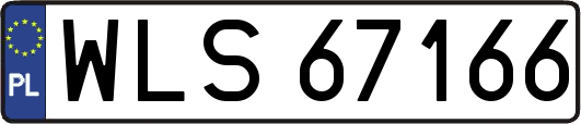 WLS67166