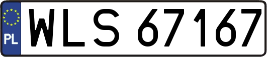 WLS67167