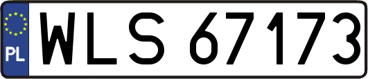 WLS67173