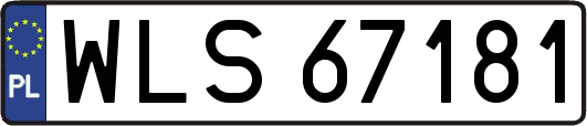 WLS67181