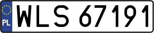 WLS67191