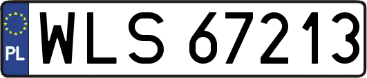 WLS67213