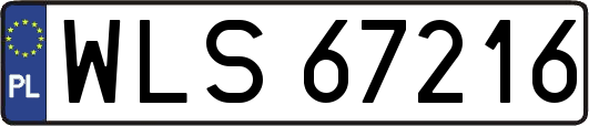 WLS67216