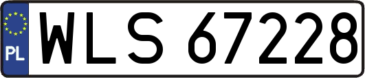 WLS67228