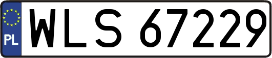 WLS67229