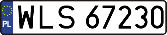 WLS67230