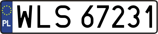 WLS67231