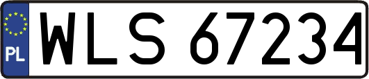 WLS67234