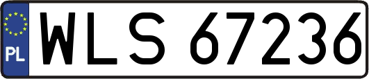 WLS67236